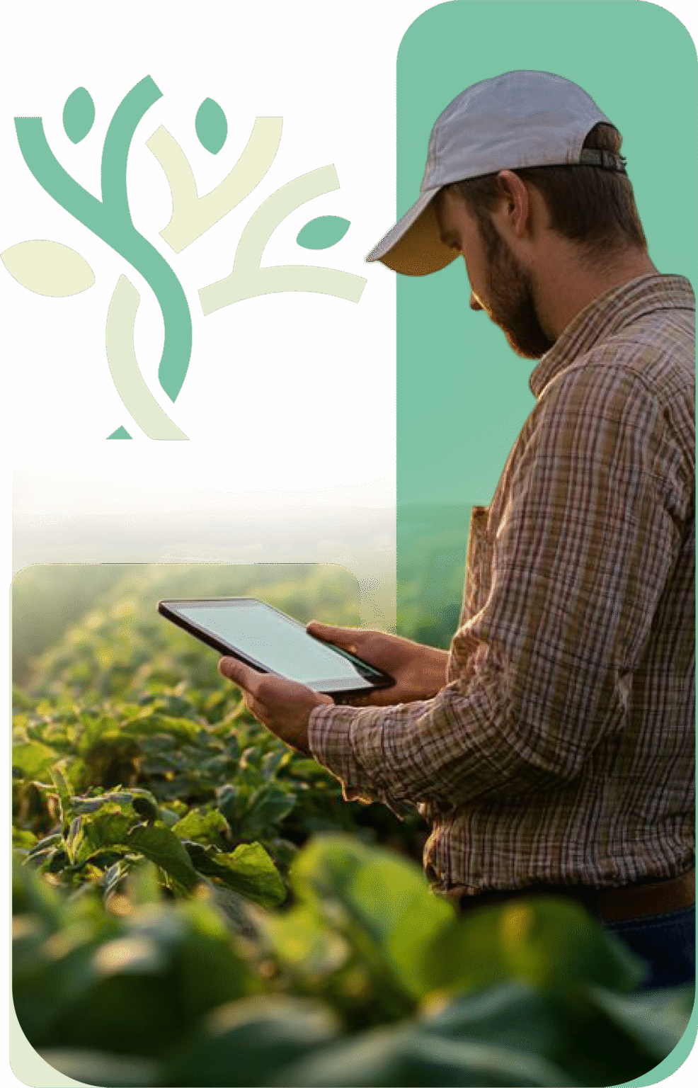 Copilot_20250913_093617-Photoroom 2